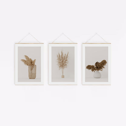 Pack de 3 láminas PREMIUM para descargar e imprimir: Pampas Grass Minimalista.