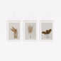 Pack de 3 láminas PREMIUM para descargar e imprimir: Pampas Grass Minimalista.
